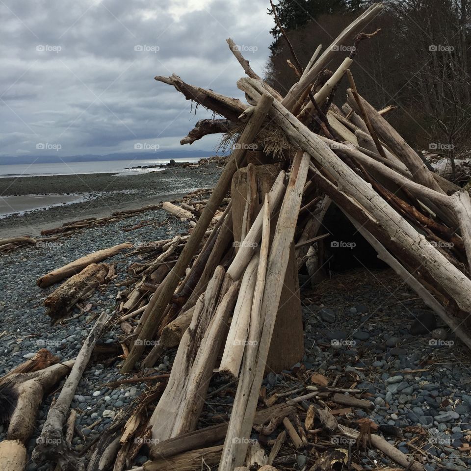 Driftwood shelter 