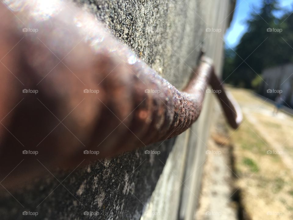 No Person, Wood, Nature, Old, Outdoors