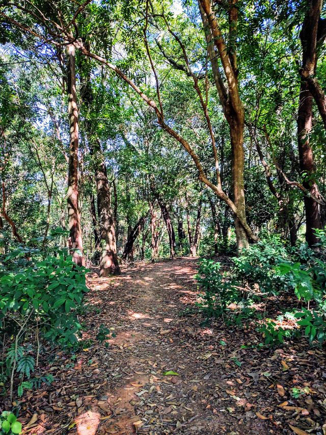 Indaiatuba Ecological Park