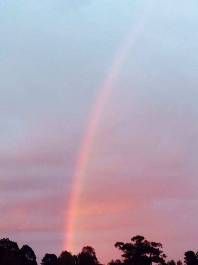 Rainbow