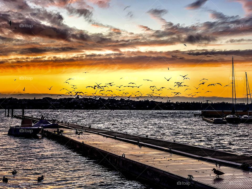 Amazing sunset and birds flying on the Garda Lake 