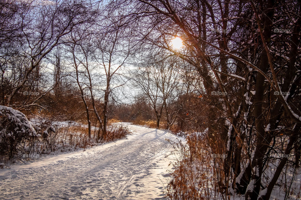 Winter road