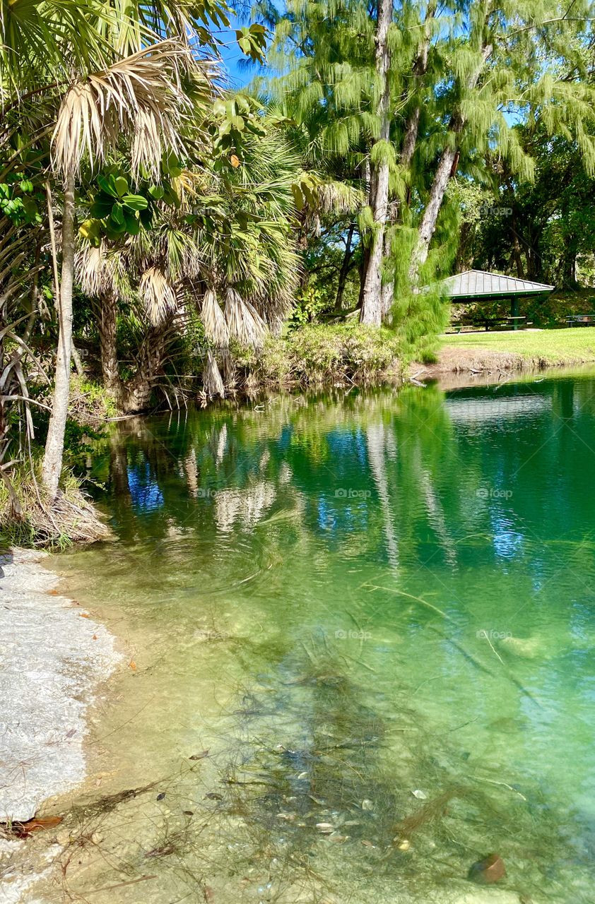 Natural Florida 