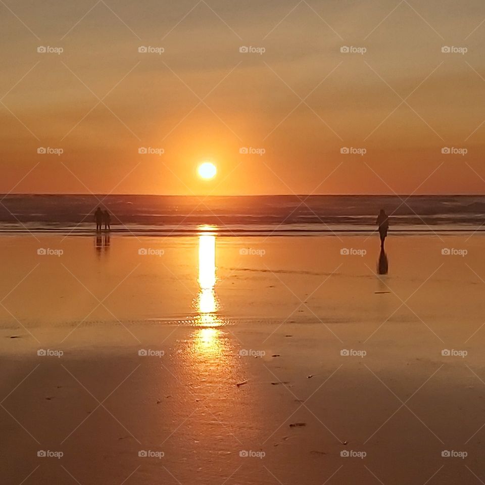 sound of the sunshine