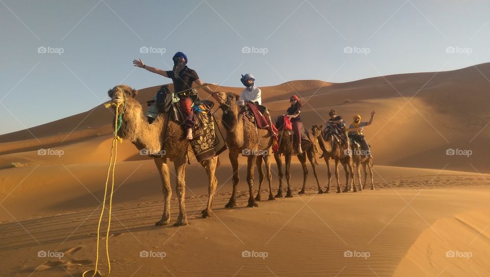 hitchhiking from Germany to Morocco ...
per Anhalter durch Afrika