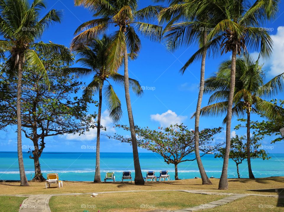 Antigua ocean view