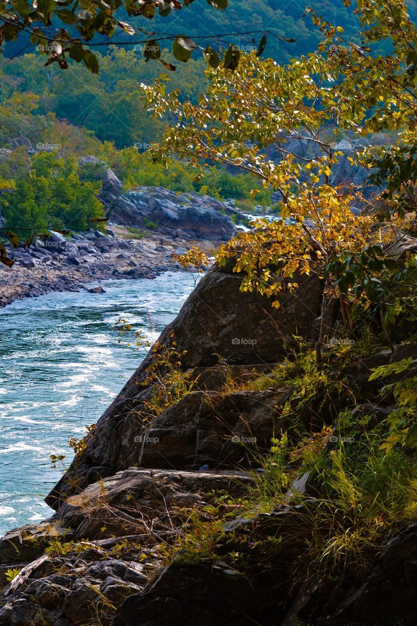 Early Autumn 