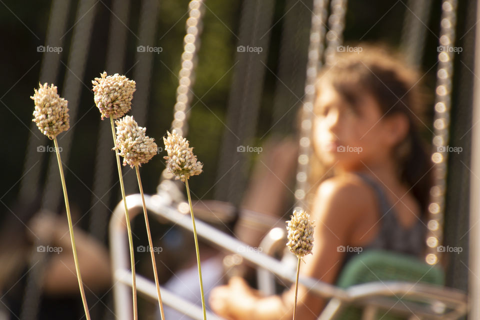 Girl on a swing