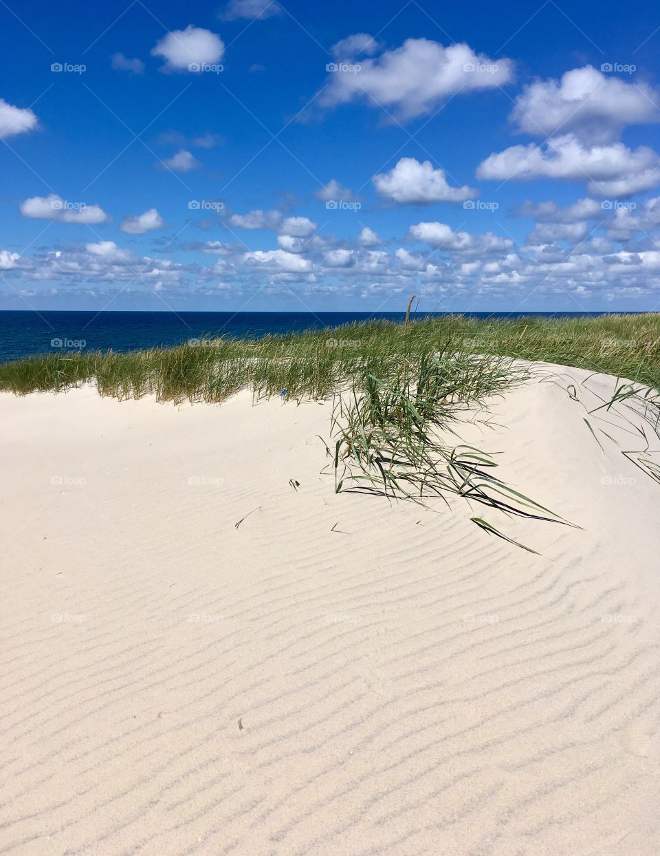 Sylt.North Sea 