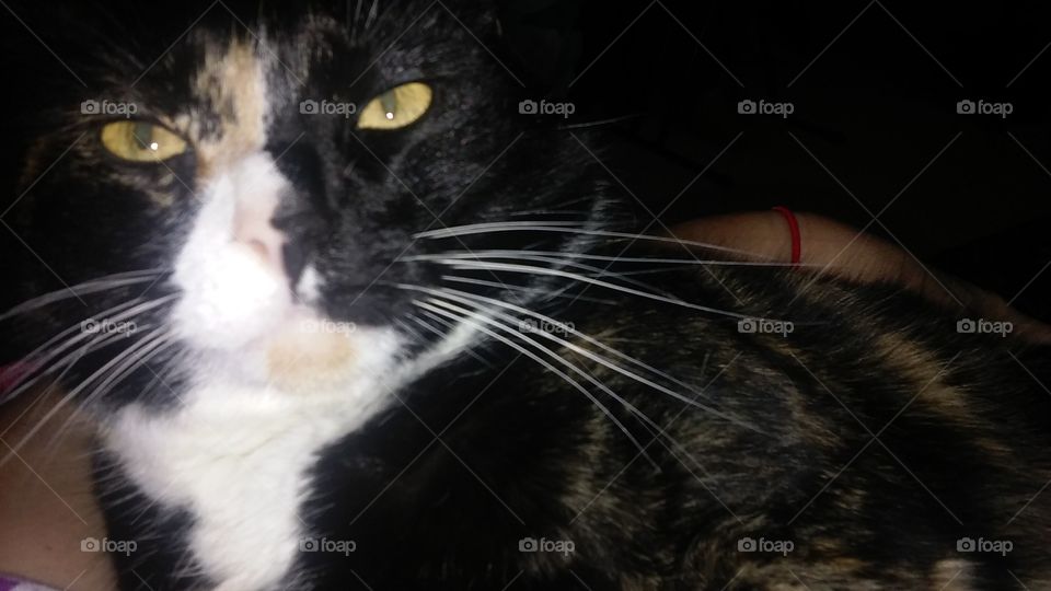 whatchu talkin bout ma?