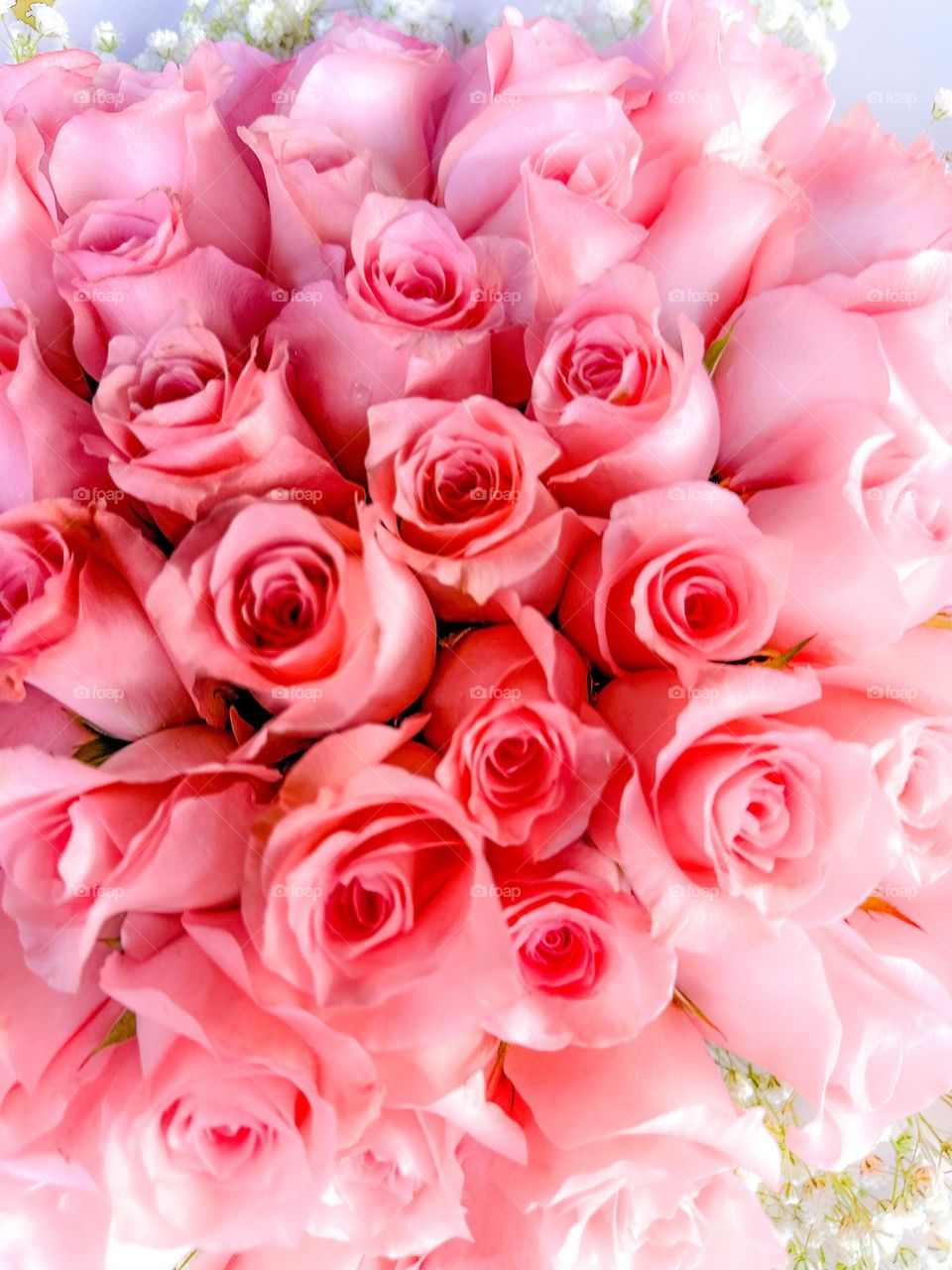 Bouquet of pink roses