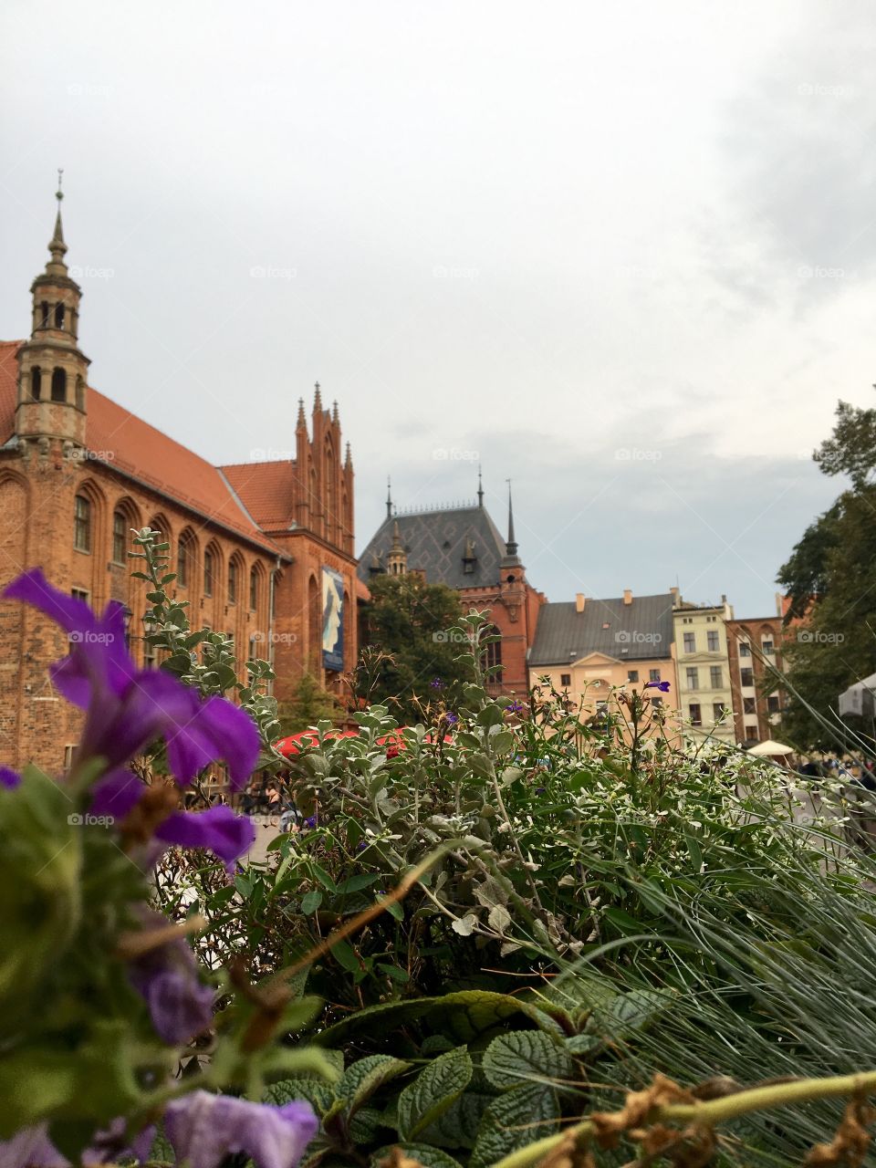 Toruń