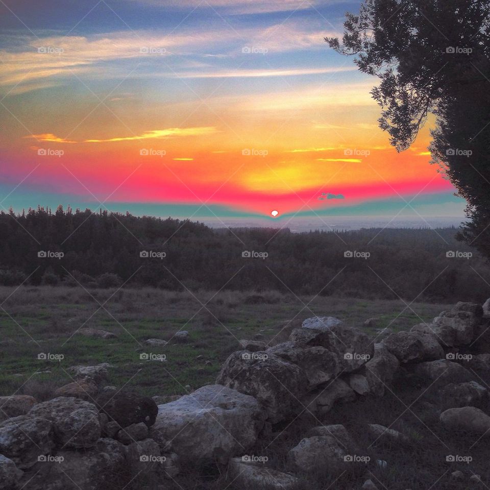 Coffee in the nature