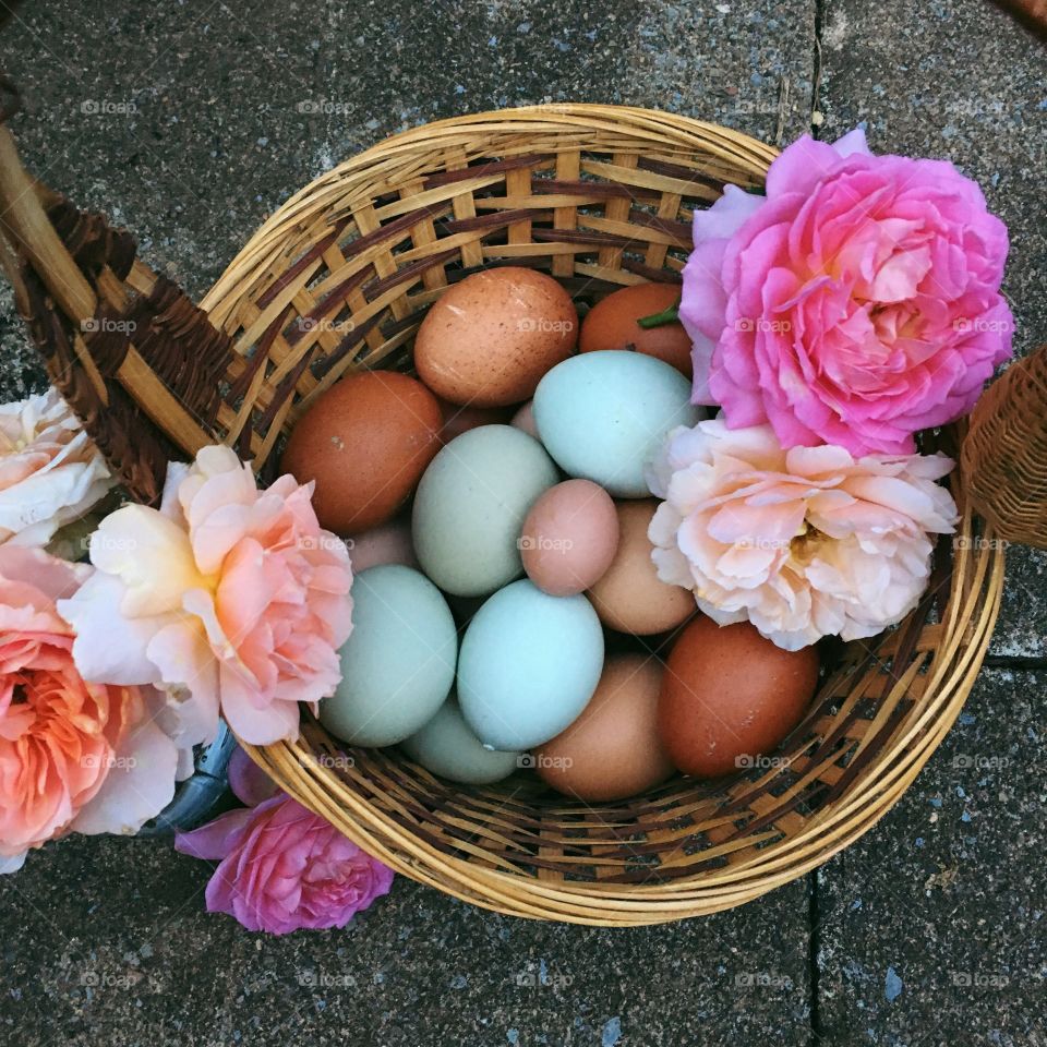 Easter, Egg, Basket, Flower, No Person
