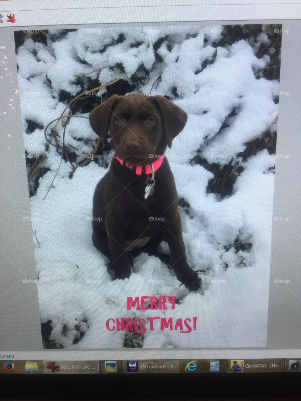 Sadie’s first snow!