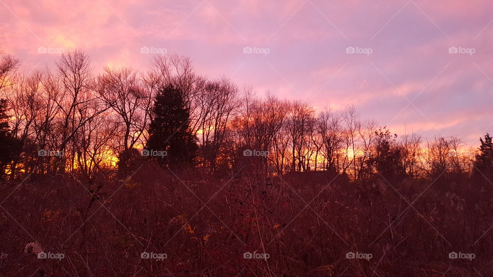 sunset in New York City.