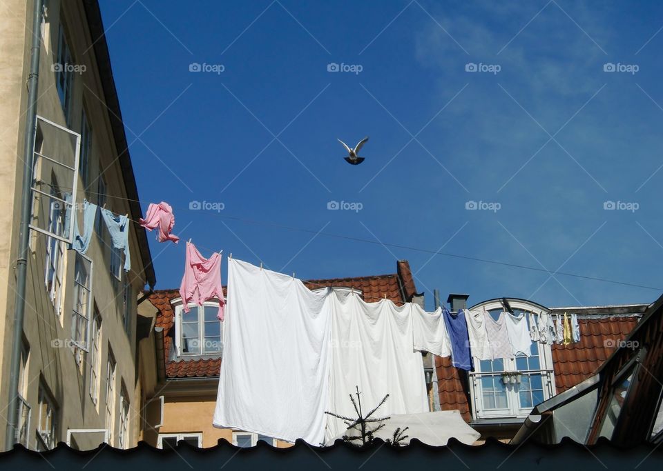 Laundry in the city.