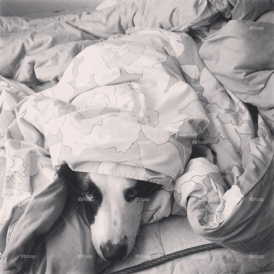Sailor under blankets 