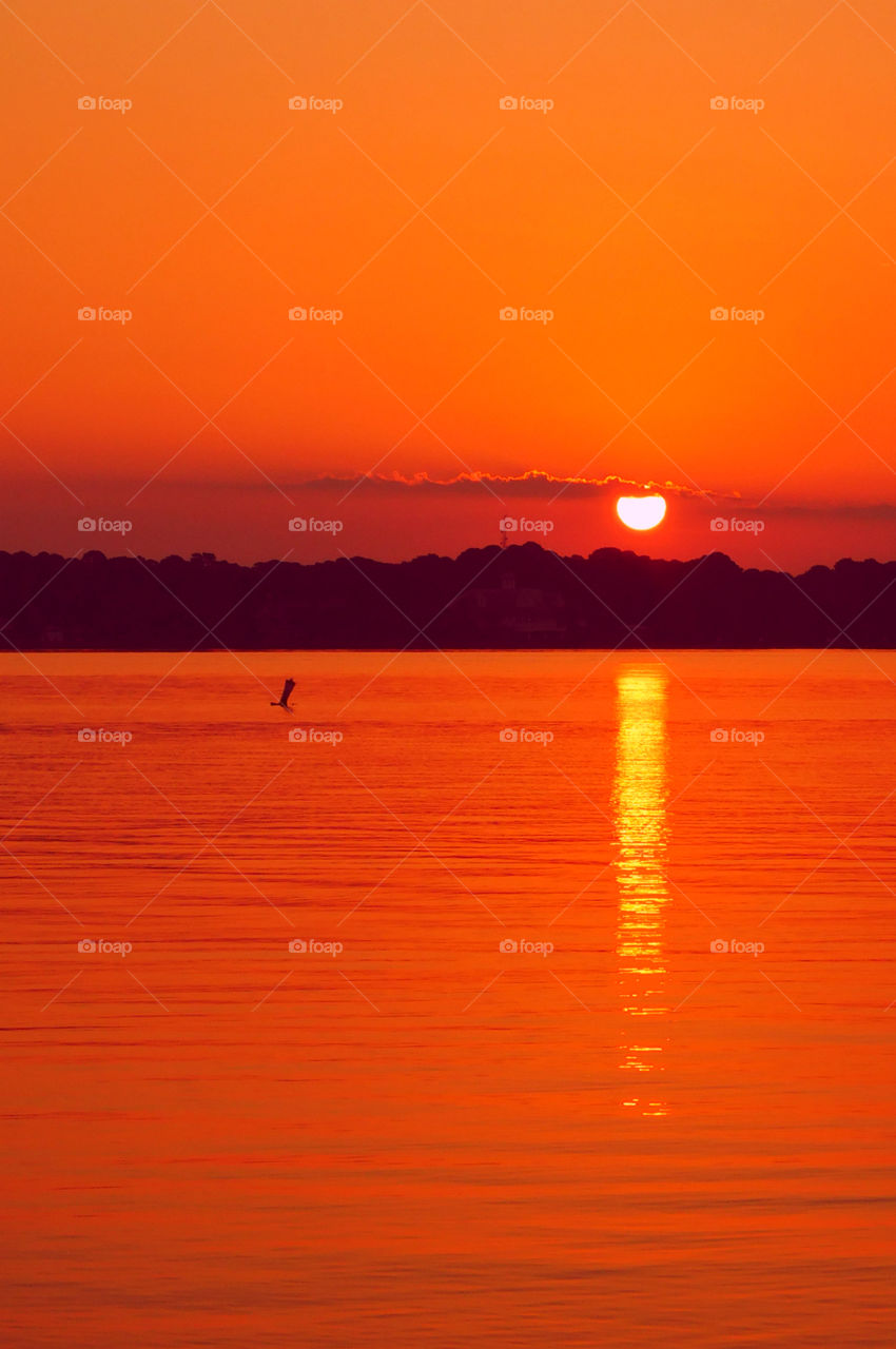 Incredible Sunset!There is nothing as diverse as nature itself. It is a beautiful place; and it is everywhere. I am a haunter of nature who loves its beauty and solitude. Take a deep breath, relax, open your eyes, and enjoy the ride through my beautiful world of nature!