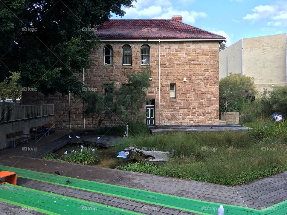 Perth  Cultural Centre Wetlands