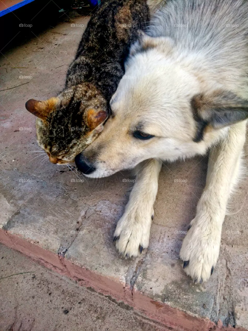 friendship