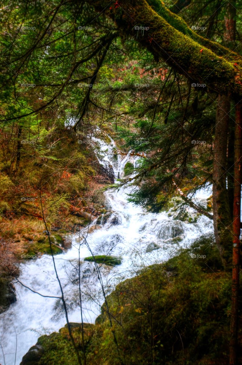 Stream . A nice stream in the middle of a forest. Jiuzhaigou, China. Fall, autumn, colorful.