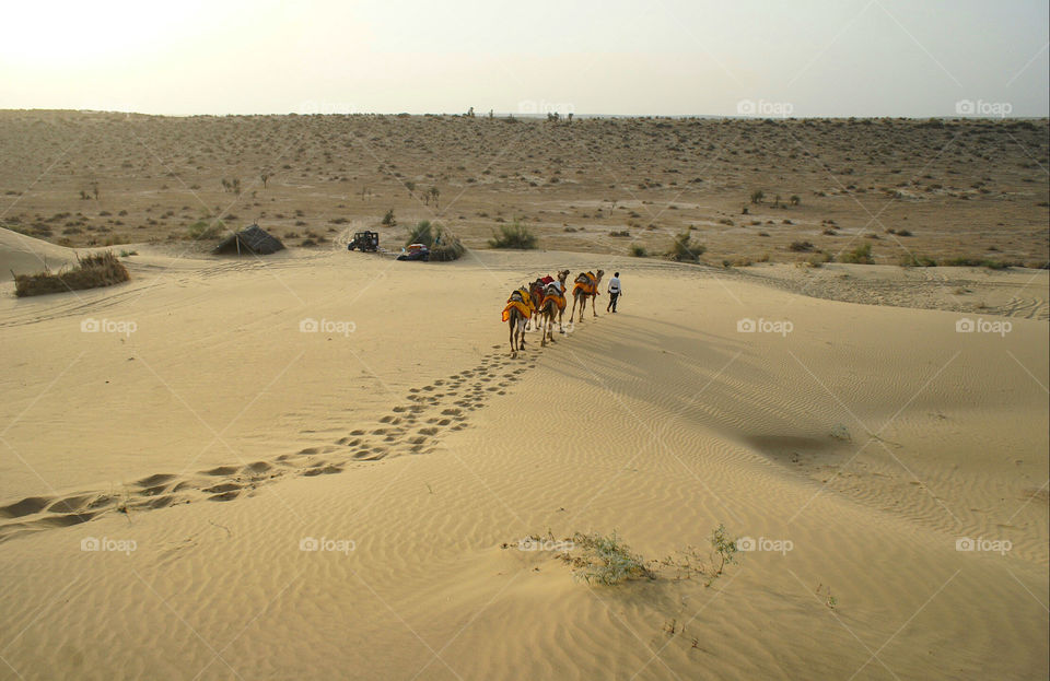 Going out in the desert on a camel, Jaisalmer
