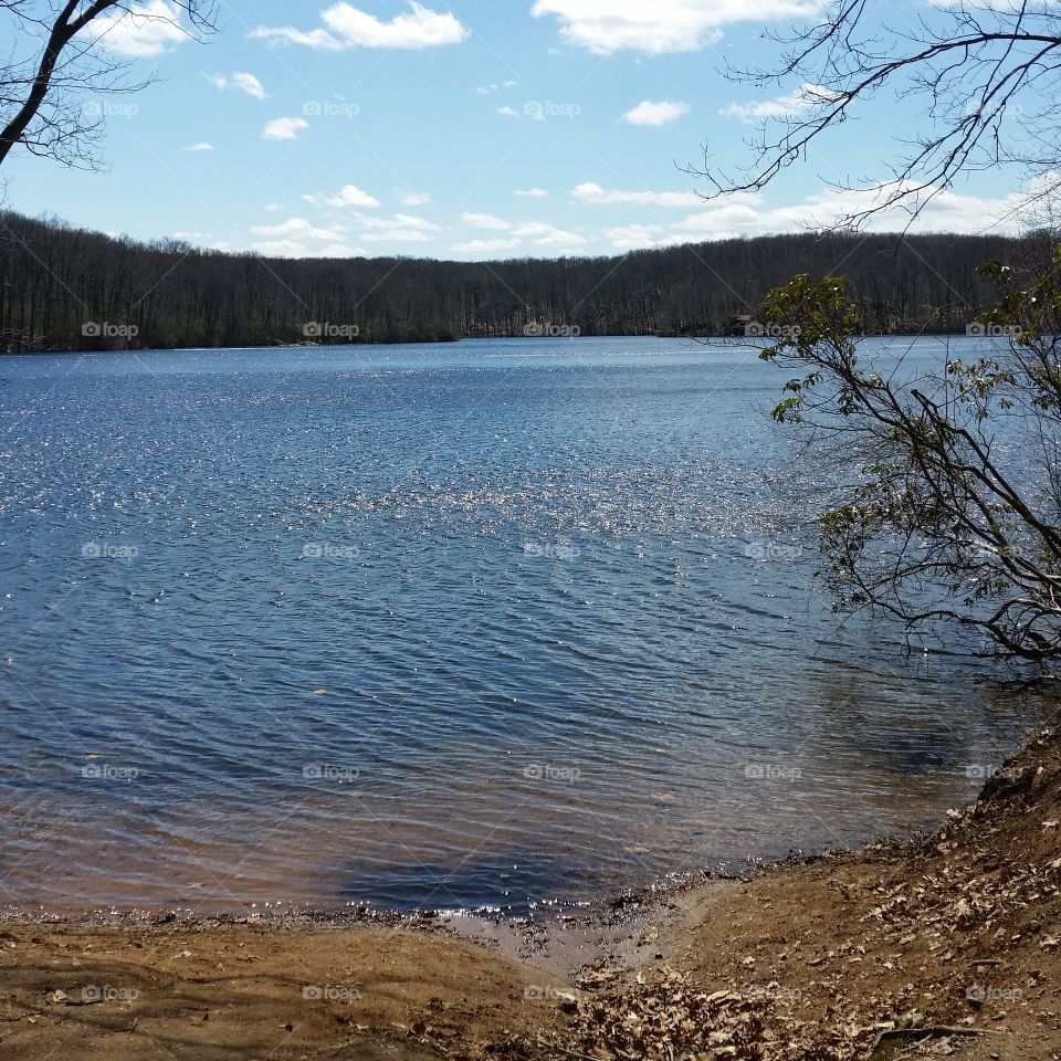 Miller Pond