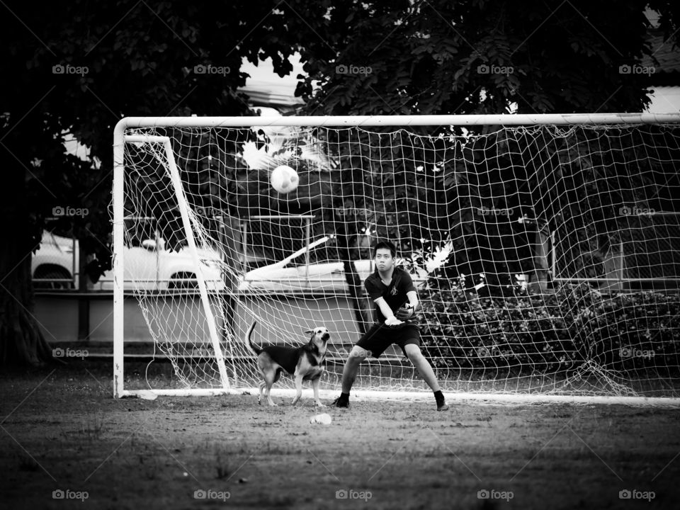 Football is a universal sport which belongs not only to human players but also to other living things like dogs. 