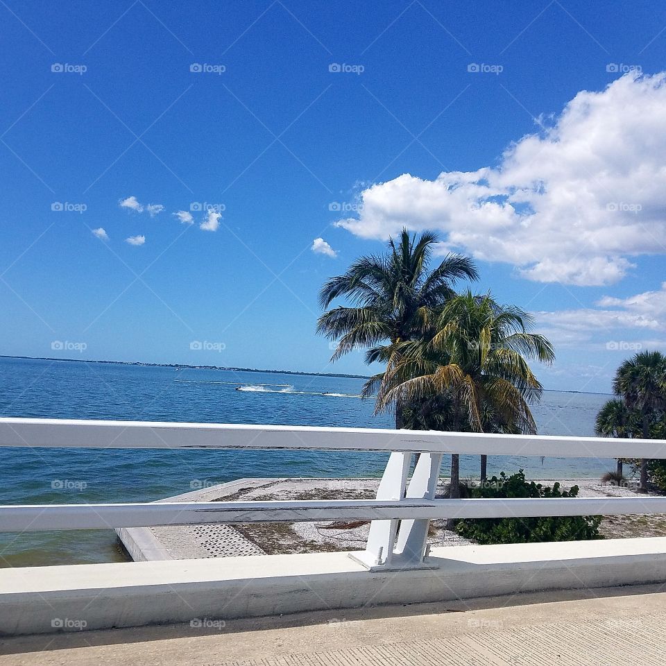 just another stunning day in SW Florida 🌞🏝🐚🌴👙🍍