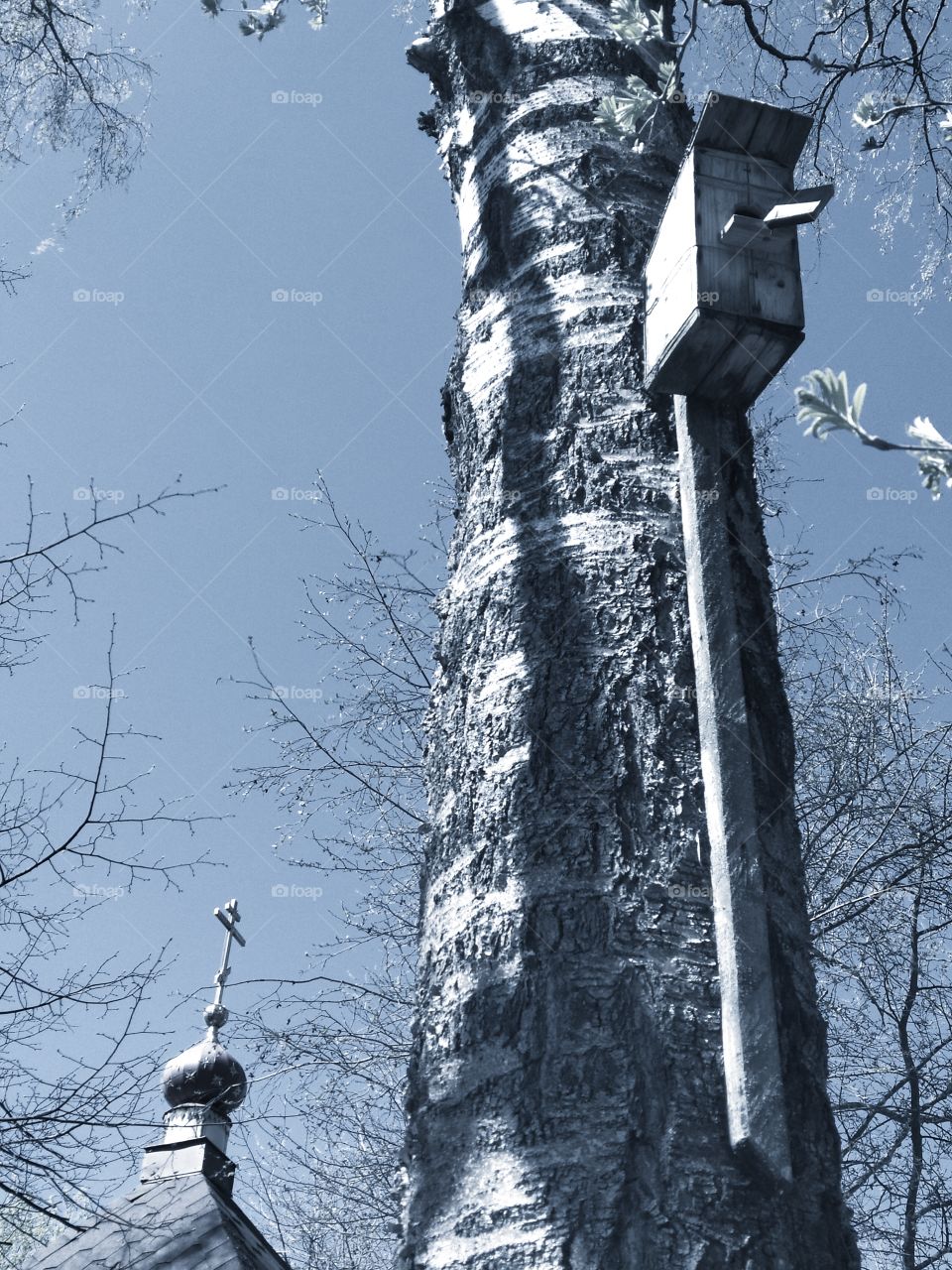 Birdhouse on a tree against the background of the dome of a rural church