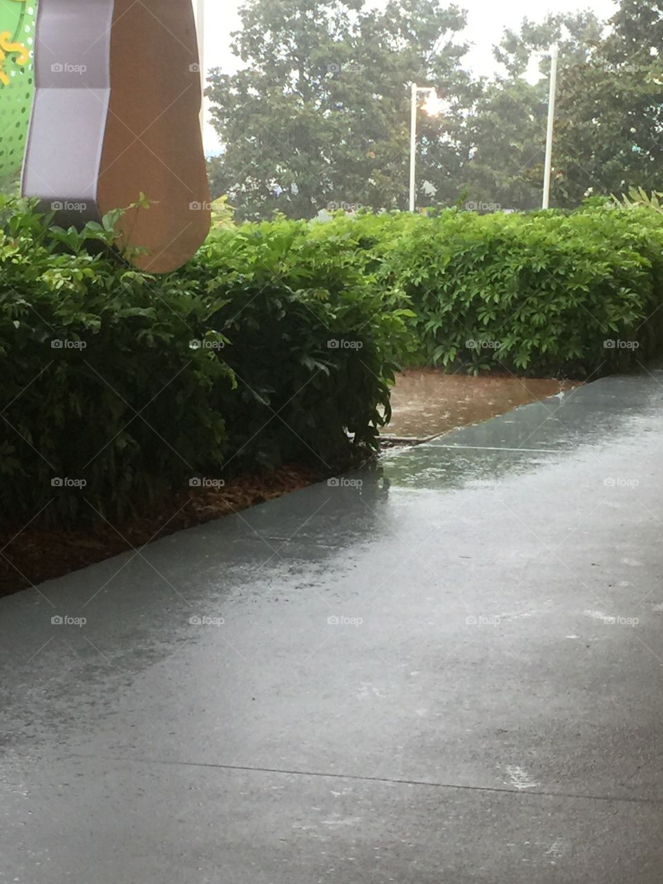 Florida rain
