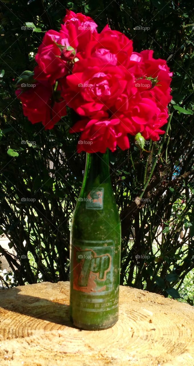 Red rose boquet in vintage green 7up soda bottle