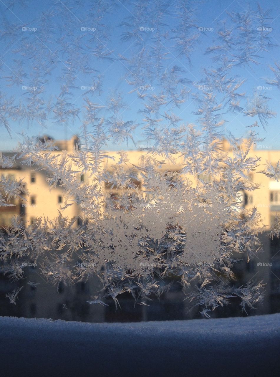 Winter frost on a window