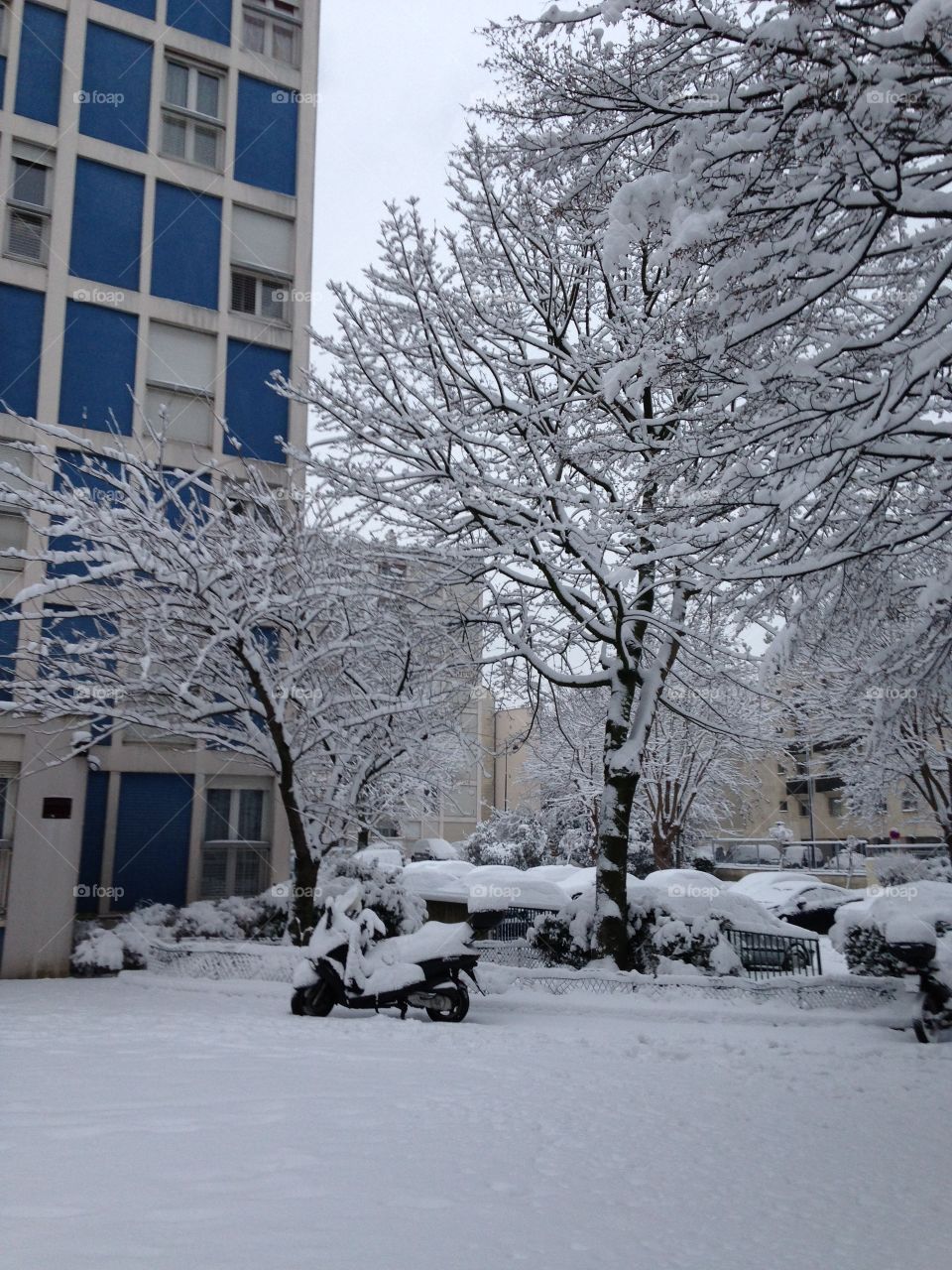 Il neige en France, il neige à Paris. Tout est couvert d'un blanc manteau, froid mais beau... // It's snowing in France, it's snowing in Paris. Everything is under a beautiful but cold white jacket...