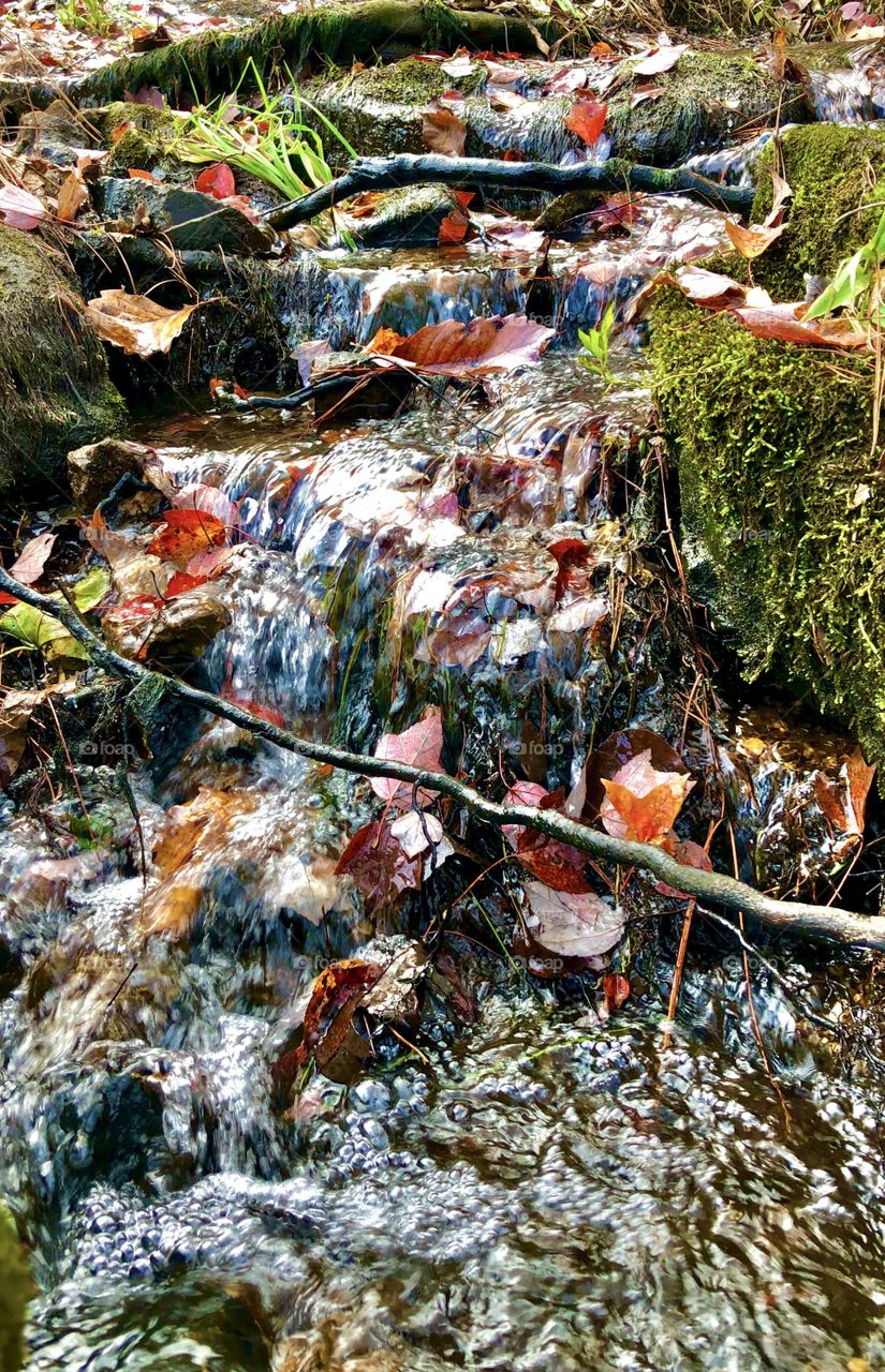 Colorful autumn leaves flowing down mountain stream