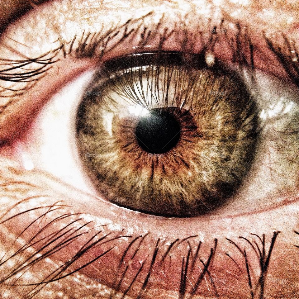 Human Eye Closeup