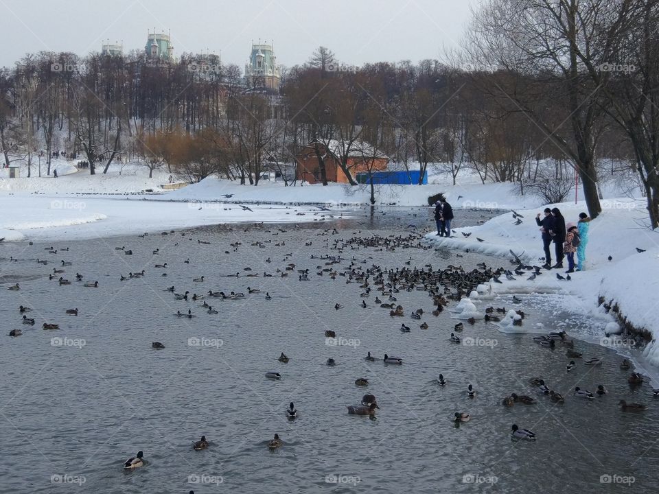 Moscow, Tsaritsynsky Park