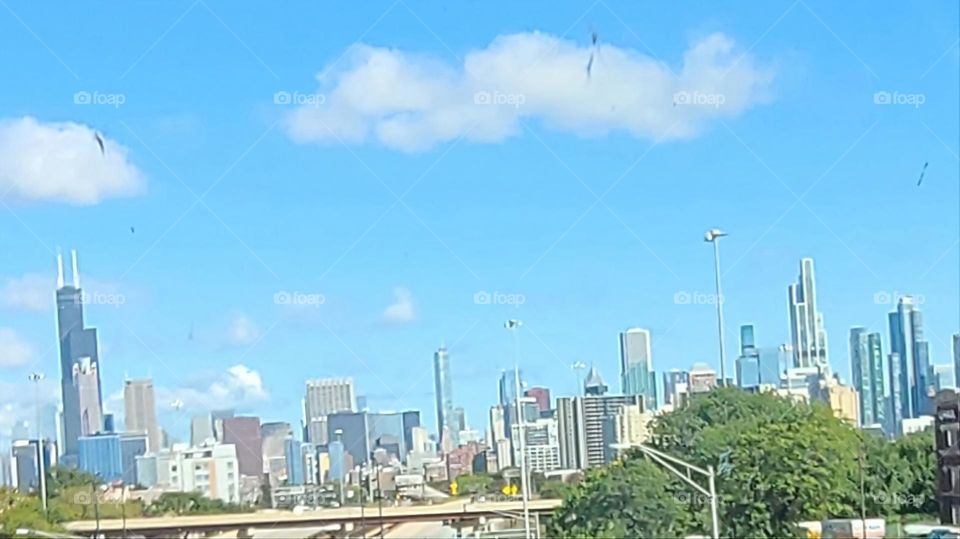 Windy City,  Chicago