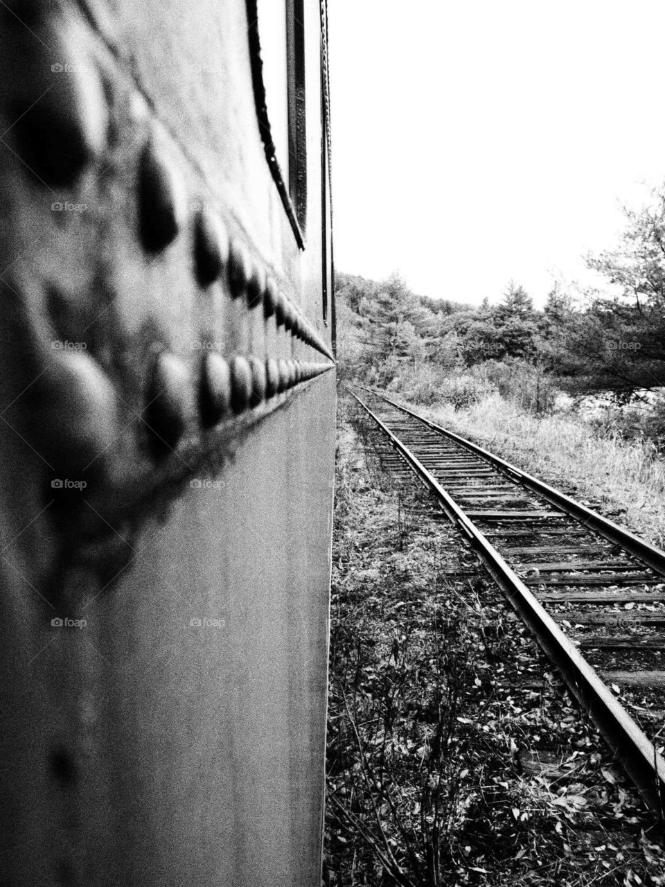 Train Perspective