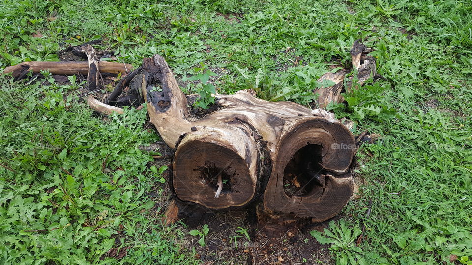 a log
