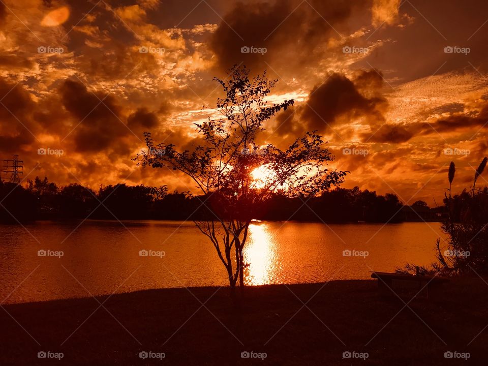 Sunbeam is Beaming down a Steady Light, Strong, Powerful, Bright Path Straight to The Sun. Enormous Evening Colors No Mistakes Sunset-Twilight is Apparent. 