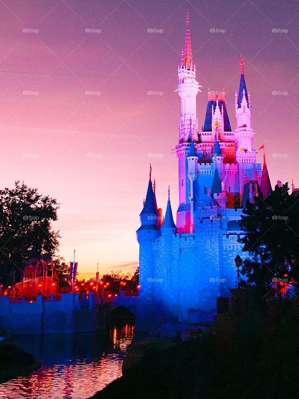 Magic kingdom 