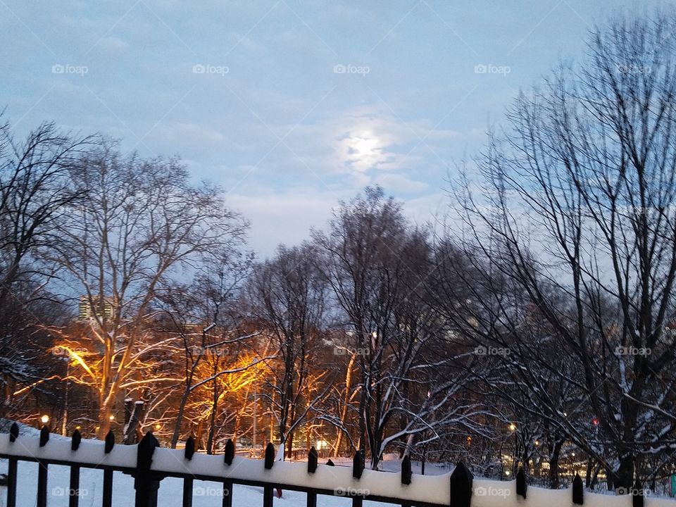 Snowy night in Morningside Park