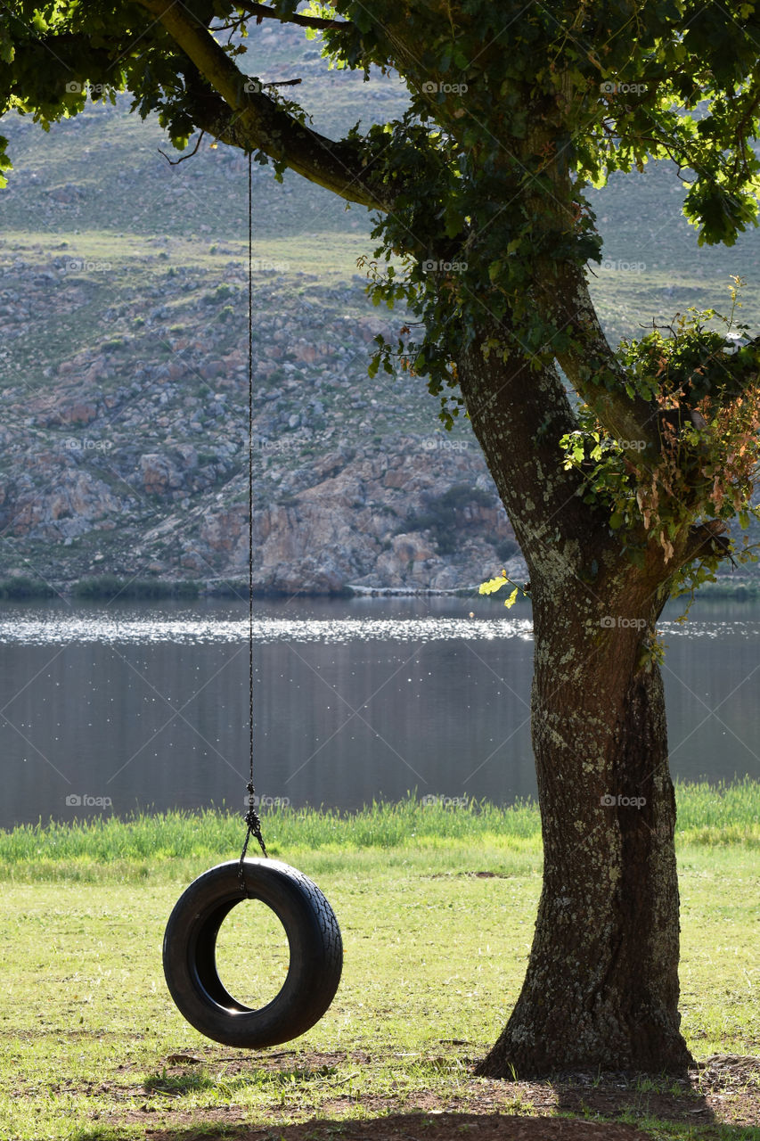 Tyre Rope Tree Swing By A Lake, Dullstroom, South Africa