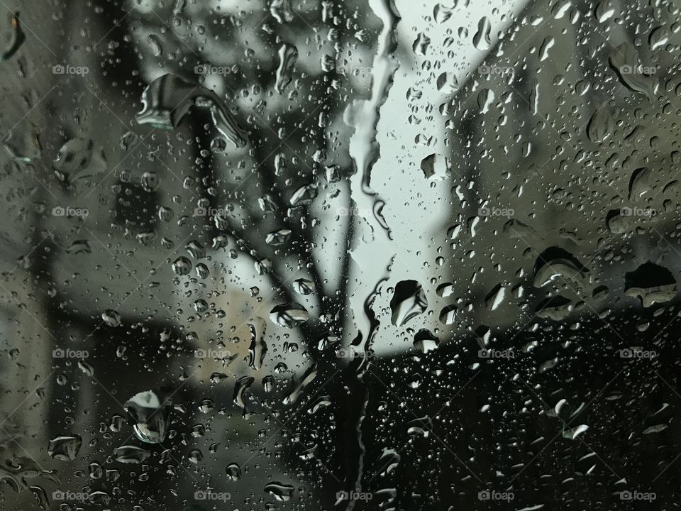 Rainy day in New Orleans' Garden District 