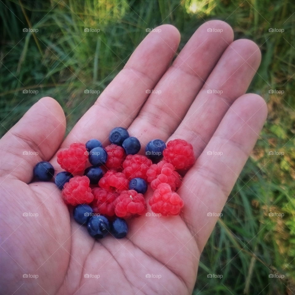 Raspberries and blueberries. Handful of delicious berries