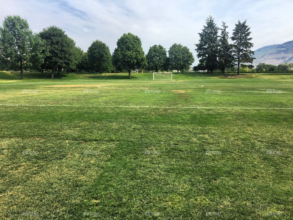 Beautiful sunny day at the park 