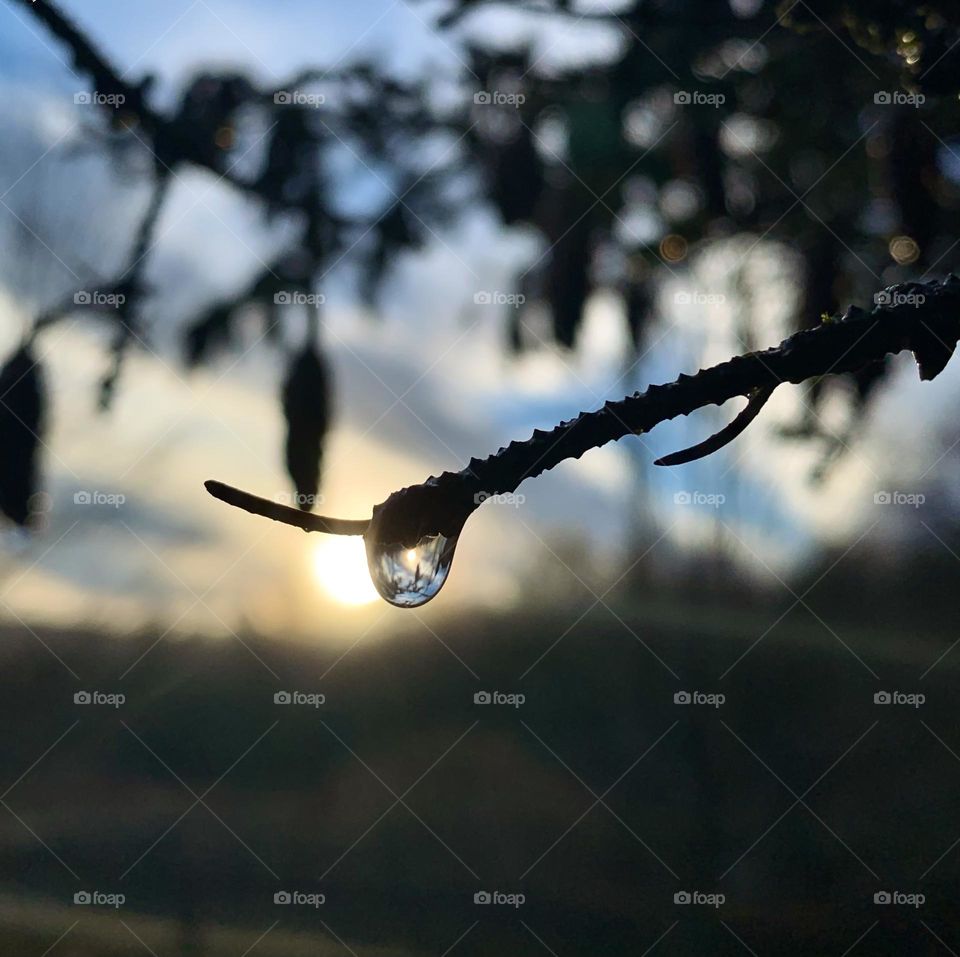 Seeing the sun through a drop of water 