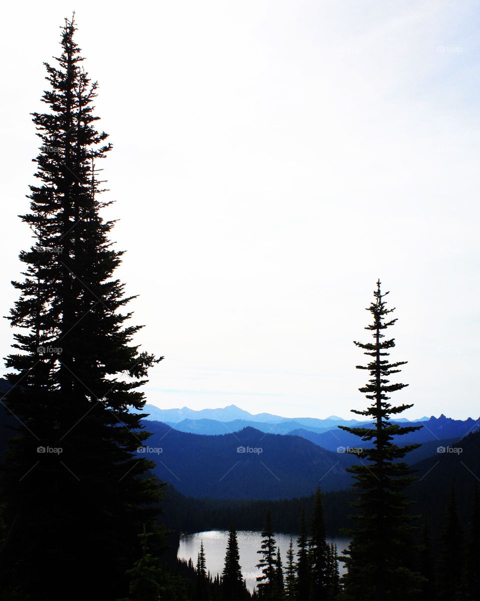 Hiking in the Pacific Northwest 
